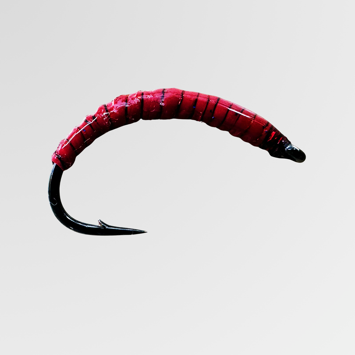 Wachsmotte von Bindaris WAM08