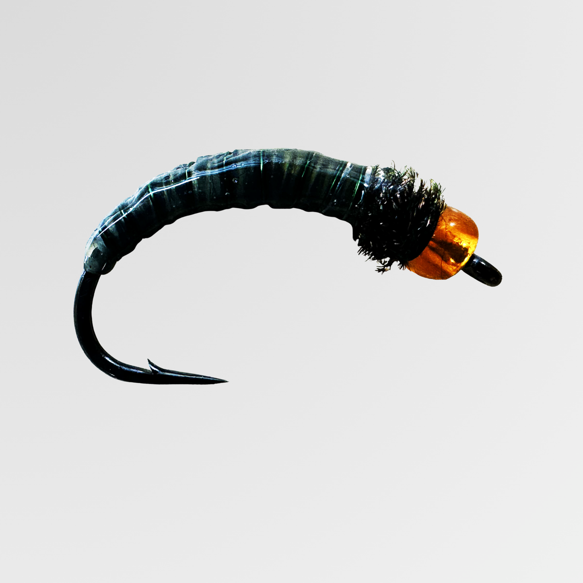 Wachsmotte von Bindaris WAM09
