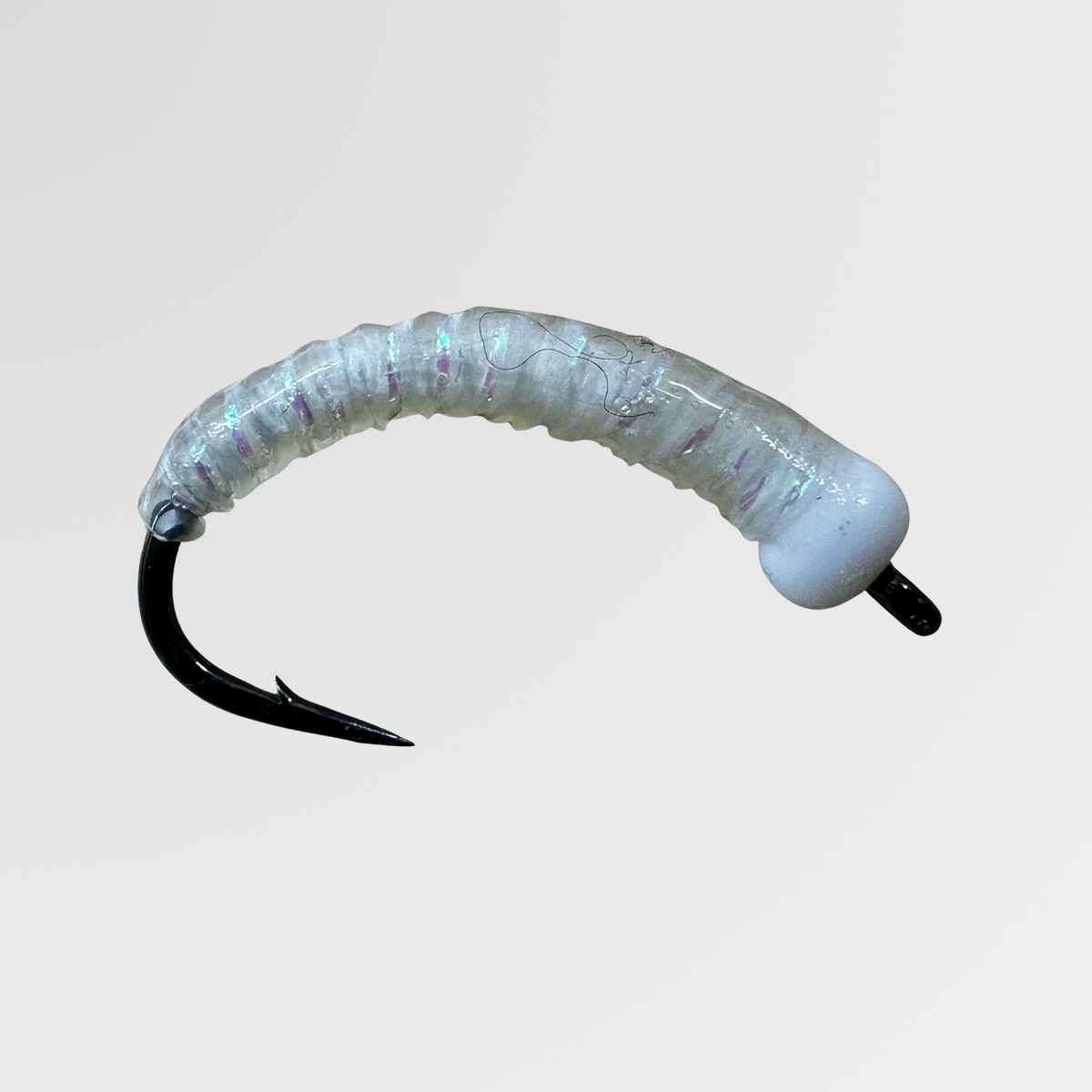 Wachsmotte von Bindaris WAM13