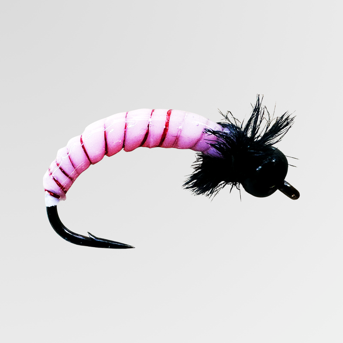 Wachsmotte von Bindaris WAM14