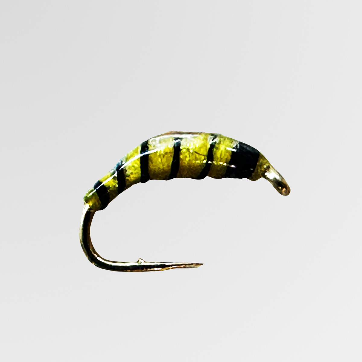 Bindaris Plankton Nymphe PL02 – Gelb/Kupfer-Schwarz