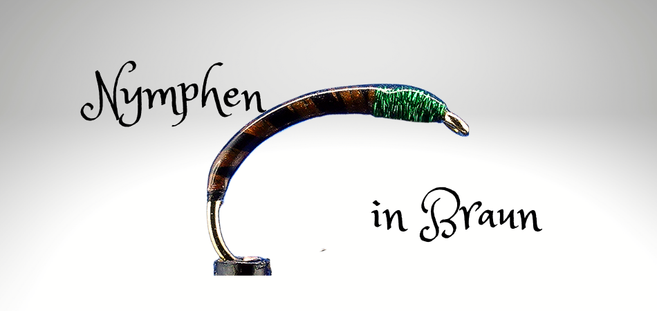 Braun_Gruppe.png