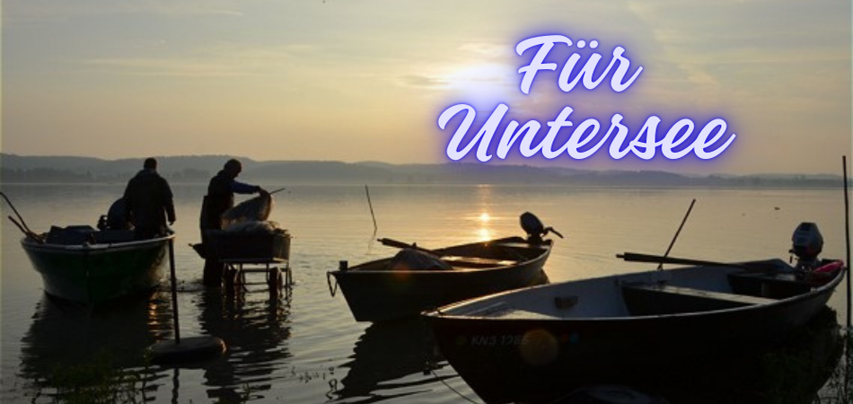 Felchenbarsch Empfehlungen für Untersee