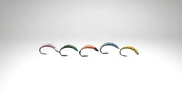 Felchenbarsch 2024/07