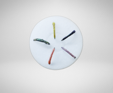 Felchenbarsch Hegene Nr. 513