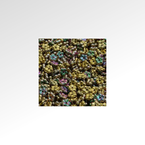 Sunflower head in bunter Mischung