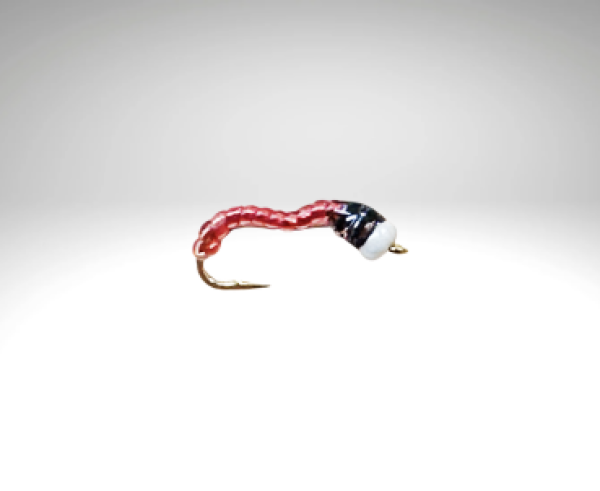 Bindaris Nymphe BG07