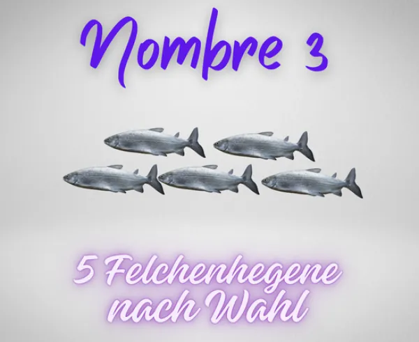 Auswahl_felchenhegenen3