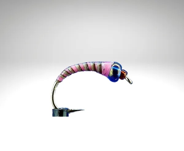 Peacock/PE905.png
