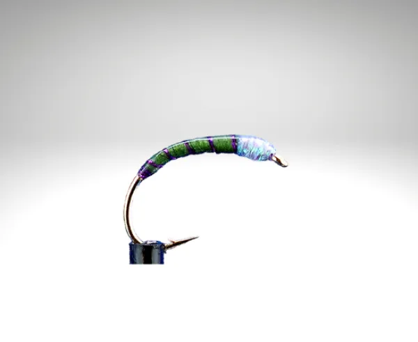 olive/OL703.png