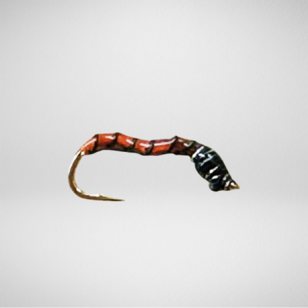 Bindaris Nymphe in Orange die OR804