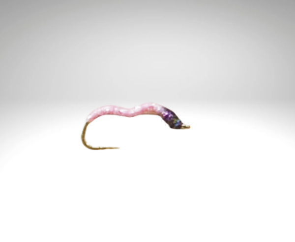 Bindaris Nymphe PI1005