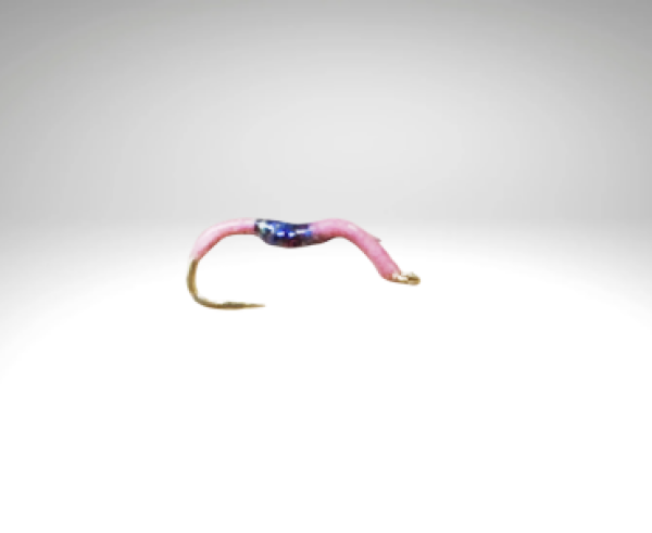 Bindaris Nymphe PI1002