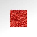 Sunflower head in rot